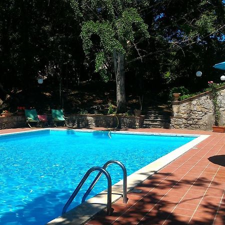 Villa La Nussa Capolona Exteriér fotografie